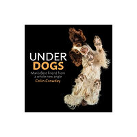 Orion Publishing Co Underdogs (inbunden, eng)