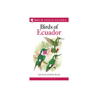 Bloomsbury Publishing PLC Field Guide to the Birds of Ecuador (häftad, eng)