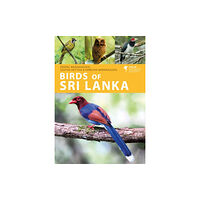 Bloomsbury Publishing PLC Birds of Sri Lanka (häftad, eng)