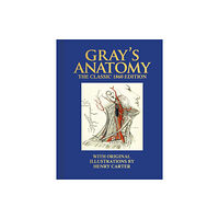 Arcturus publishing ltd Gray's Anatomy (inbunden, eng)
