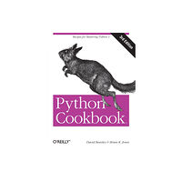 O'Reilly Media Python Cookbook (häftad, eng)