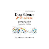 O'Reilly Media Data Science for Business (häftad, eng)