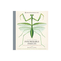 Union Square & Co. Innumerable Insects (inbunden, eng)