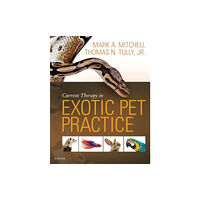 Elsevier Health Sciences Current Therapy in Exotic Pet Practice (inbunden, eng)