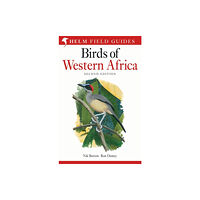 Bloomsbury Publishing PLC Field Guide to Birds of Western Africa (häftad, eng)
