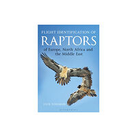 Bloomsbury Publishing PLC Flight Identification of Raptors of Europe, North Africa and the Middle East (inbunden, eng)