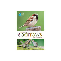 Bloomsbury Publishing PLC RSPB Spotlight Sparrows (häftad, eng)