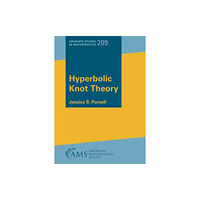 American Mathematical Society Hyperbolic Knot Theory (häftad, eng)