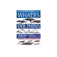Bloomsbury Publishing PLC Whales, Dolphins and Seals (häftad, eng)
