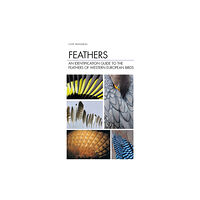 Bloomsbury Publishing PLC Feathers (inbunden, eng)