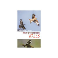 Bloomsbury Publishing PLC Where to Watch Birds in Wales (häftad, eng)
