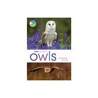 Bloomsbury Publishing PLC RSPB Spotlight Owls (häftad, eng)