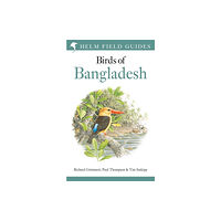 Bloomsbury Publishing PLC Field Guide to the Birds of Bangladesh (inbunden, eng)