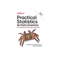 O'Reilly Media Practical Statistics for Data Scientists (häftad, eng)