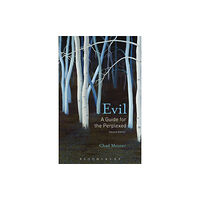 Bloomsbury Publishing PLC Evil: A Guide for the Perplexed (häftad, eng)