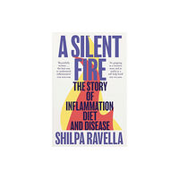 Vintage Publishing A Silent Fire (häftad, eng)