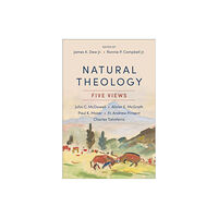 Baker publishing group Natural Theology (häftad, eng)