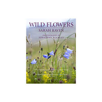 Bloomsbury Publishing PLC Sarah Raven's Wild Flowers (häftad, eng)