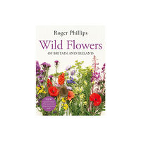 Pan Macmillan Wild Flowers (inbunden, eng)