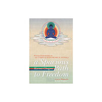 Shambhala Publications Inc A Spacious Path to Freedom (häftad, eng)