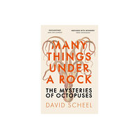 Hodder & Stoughton Many Things Under a Rock (häftad, eng)