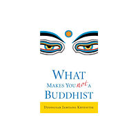 Shambhala Publications Inc What Makes You Not a Buddhist (häftad, eng)