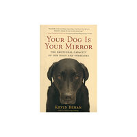 New World Library Your Dog is Your Mirror (häftad, eng)