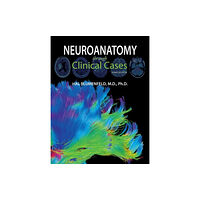 Oxford University Press Inc Neuroanatomy through Clinical Cases (häftad, eng)