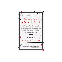 WW Norton & Co The Concept of Anxiety (häftad, eng)