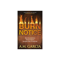 Morgan James Publishing llc Burn Notice (häftad, eng)