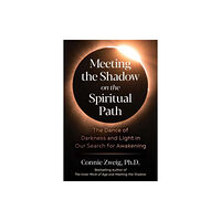 Inner Traditions Bear and Company Meeting the Shadow on the Spiritual Path (häftad, eng)