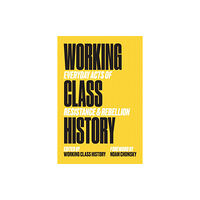 PM Press Working Class History (häftad, eng)