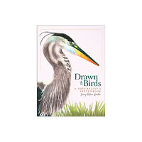 Adventure Publications, Incorporated Drawn to Birds (inbunden, eng)