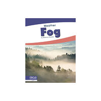 North Star Editions Weather: Fog (häftad, eng)