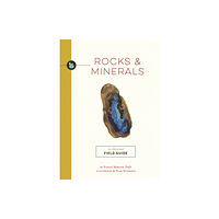 HarperCollins Focus Rocks and   Minerals (häftad, eng)