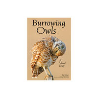 Amherst Media Burrowing Owls (häftad, eng)