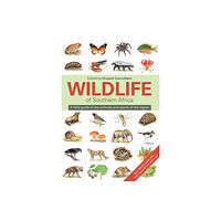 Penguin Random House South Africa The Wildlife of Southern Africa (häftad, eng)