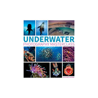 GMC Publications Underwater Photography Masterclass (häftad, eng)