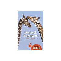 Oneworld Publications Animal Behavior (häftad, eng)