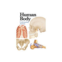 Amber Books Ltd Human Body (häftad, eng)