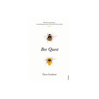 Vintage Publishing Bee Quest (häftad, eng)