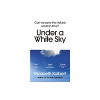 Vintage Publishing Under a White Sky (häftad, eng)