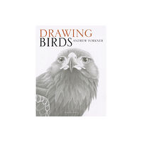 Search Press Ltd Drawing Birds (häftad, eng)