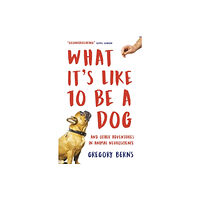 Oneworld Publications What It's Like to Be a Dog (häftad, eng)