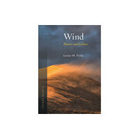 Reaktion Books Wind (häftad, eng)