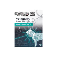 5M Books Ltd Veterinary Laser Therapy in Small Animal Practice (häftad, eng)