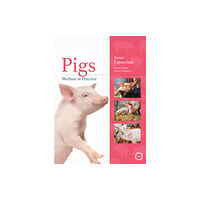 5M Books Ltd Pigs Welfare in Practice (häftad, eng)