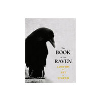 Orion Publishing Co The Book of the Raven (häftad, eng)