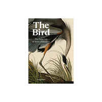 Orion Publishing Co The Bird (inbunden, eng)