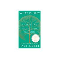 David Fickling Books What is Life? (inbunden, eng)